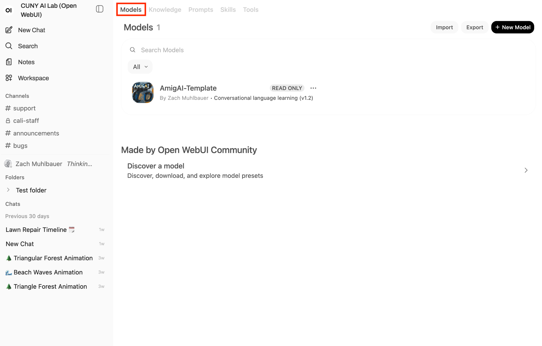 Workspace Models page listing custom models in the Sandbox