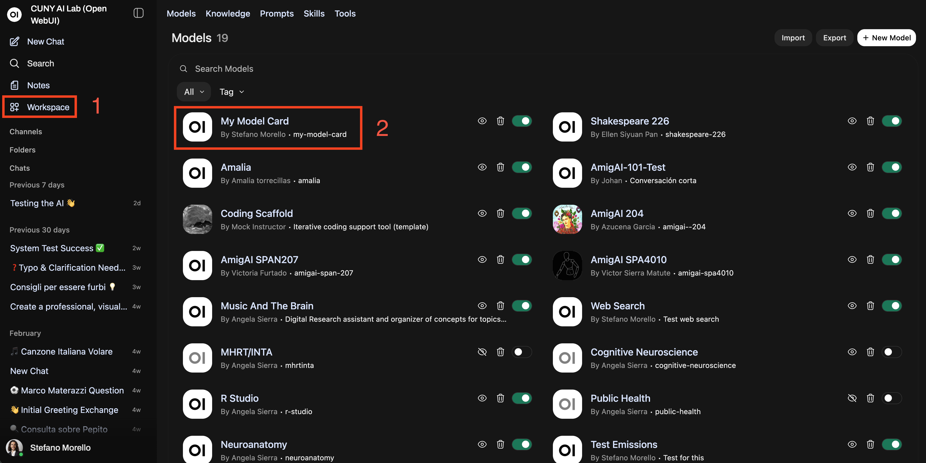 Workspace Models page listing custom models