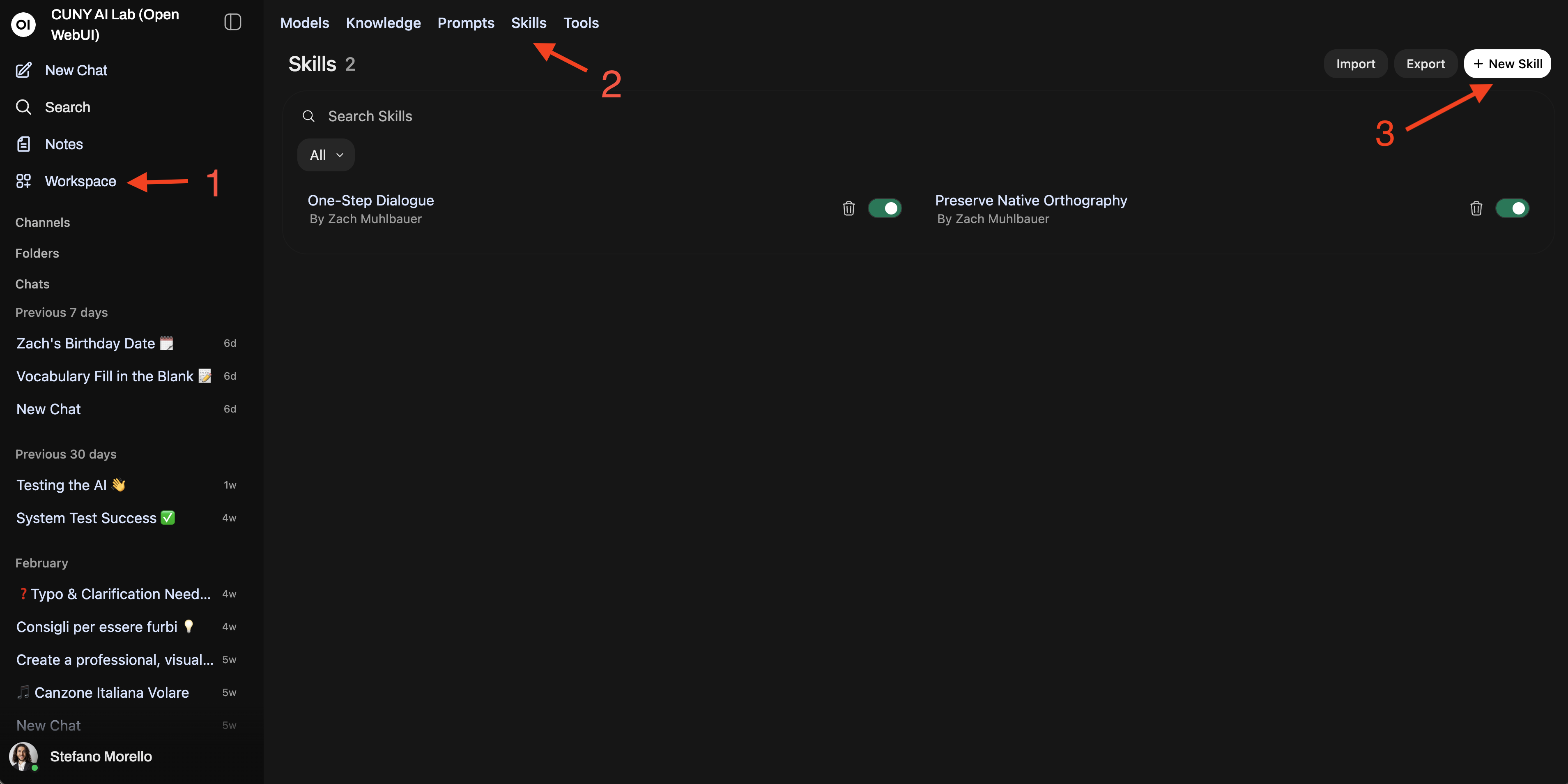 Workspace Skills page showing existing skills and the New Skill button