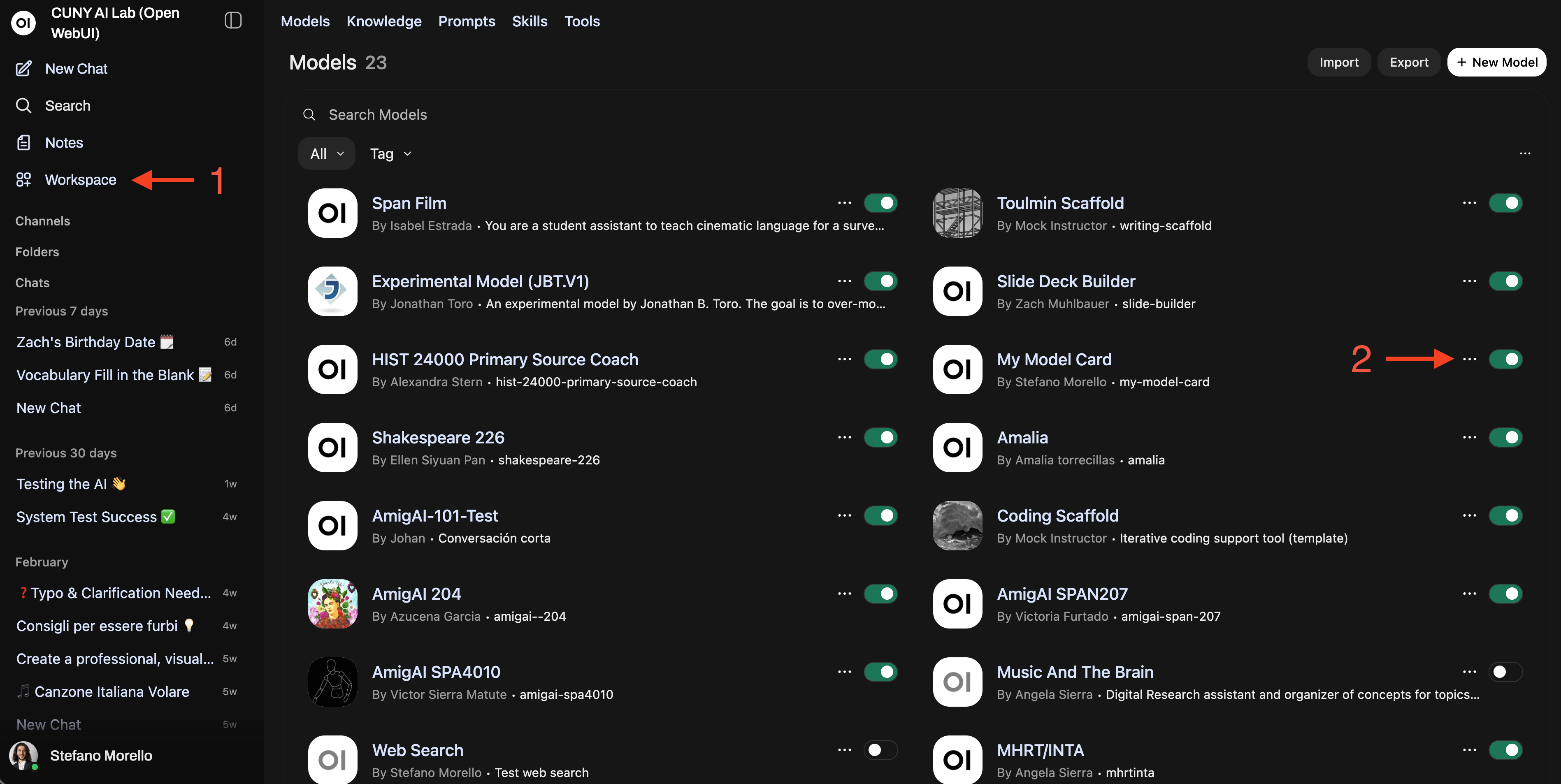 Workspace Models page showing custom models in the Sandbox