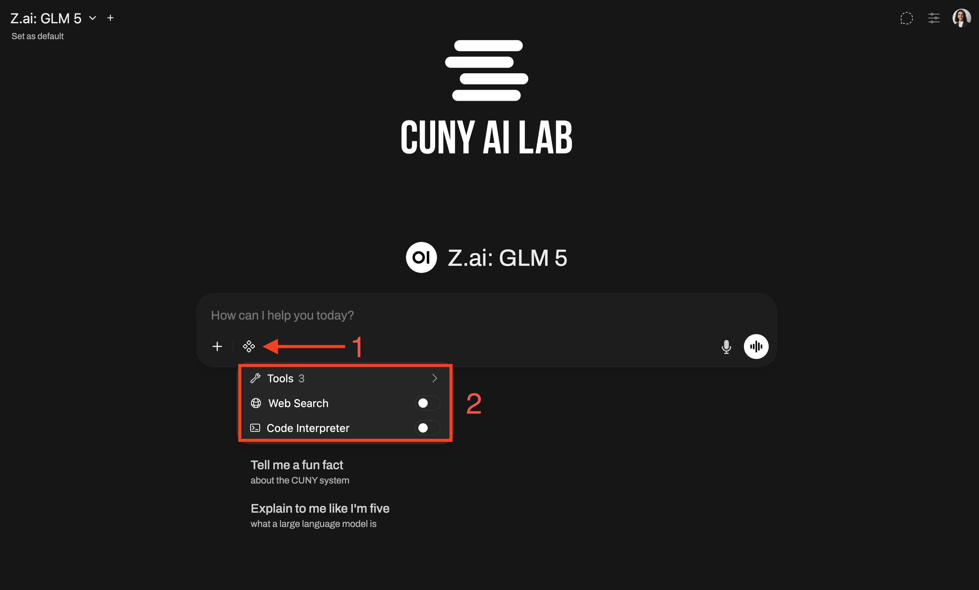 Open WebUI chat interface showing the gear icon next to the message bar and the tools menu with Web Search and Code Interpreter