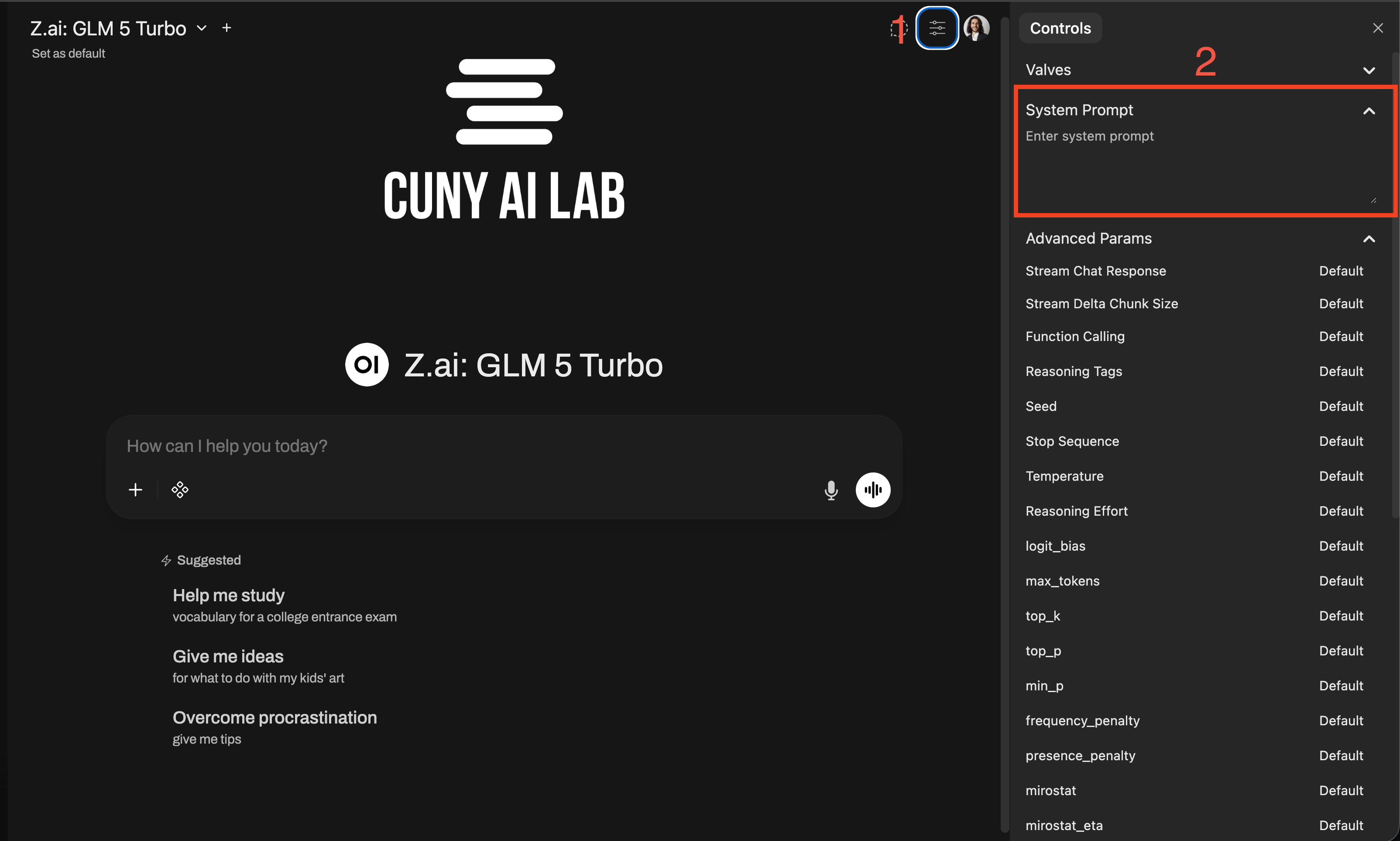 Chat-level system prompt field in Open WebUI
